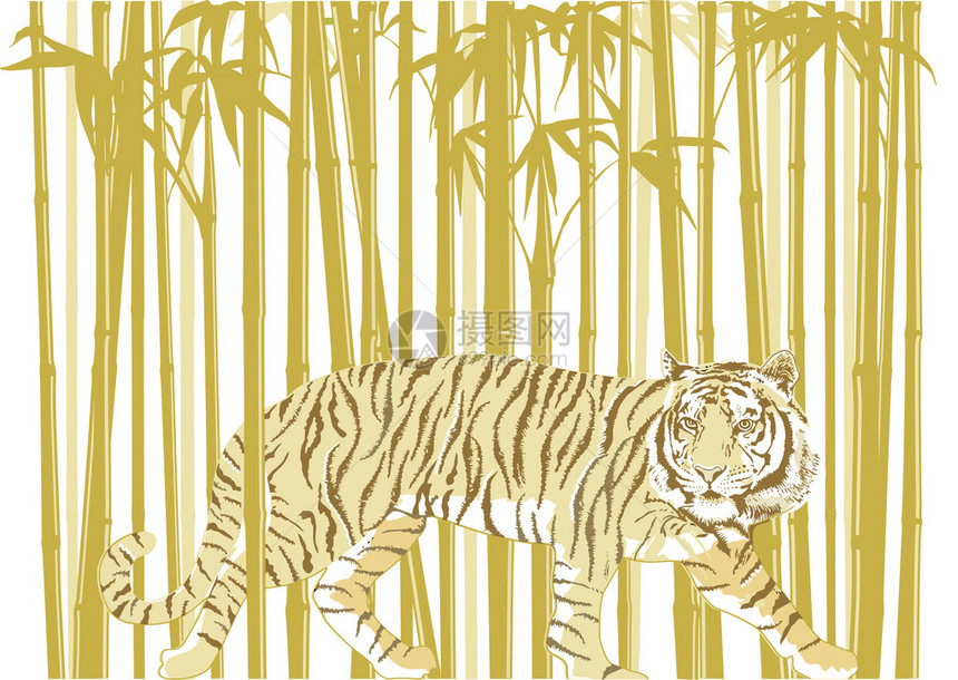 竹林的老虎图片