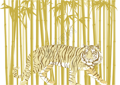 竹林的老虎图片
