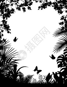 热带森林光影背景矢量插图图片