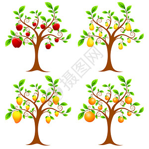 套苹果芒果梨和橙树的插图图片