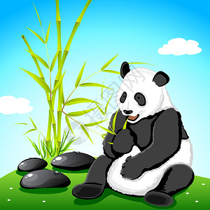 熊猫在丛林中吃竹子的插图图片