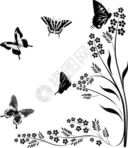 带有蝴蝶花朵和卷发剪影的插图图片