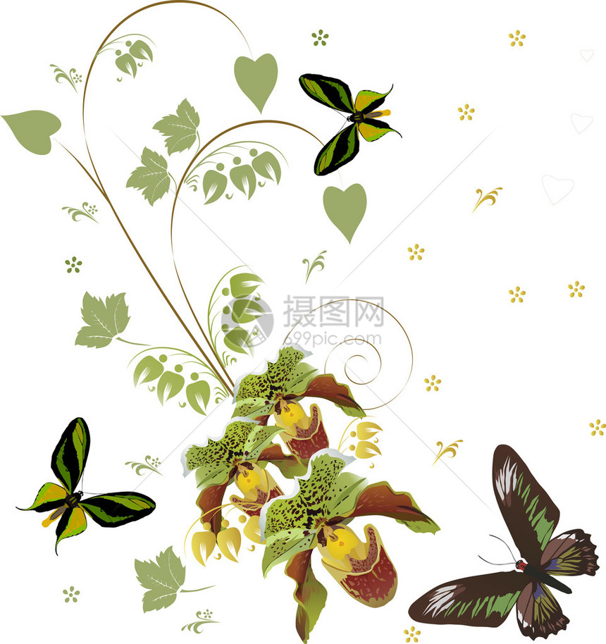 插图与绿色花束和蝴蝶在白色背景图片