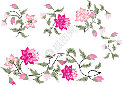 白色背景上带有粉红色花朵装饰的插图图片