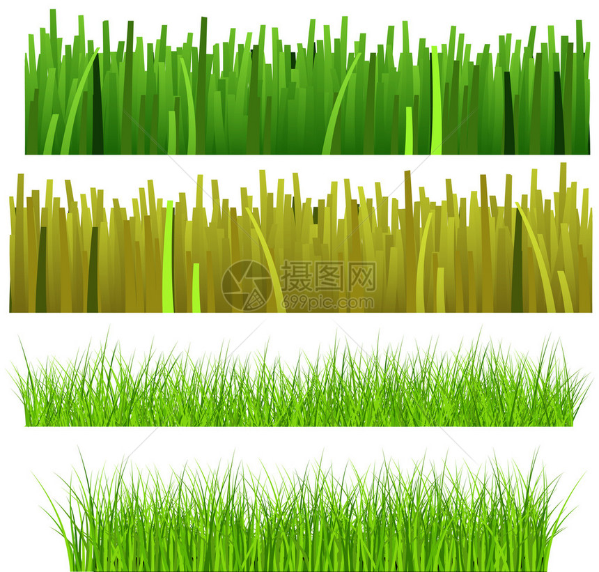 绿色新鲜草的创意概念装饰设计说明InforthGreenFresh图片