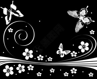 用蝴蝶鲜花和卷的白图片