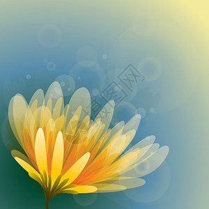 七彩花卉背景牡丹图片