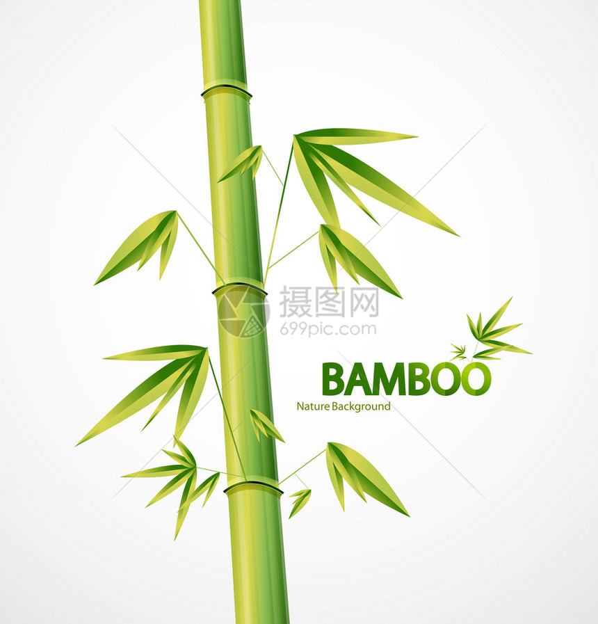 为您的项目设计竹茎图片