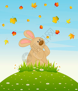 有秋叶的卡通小玩具兔子图片