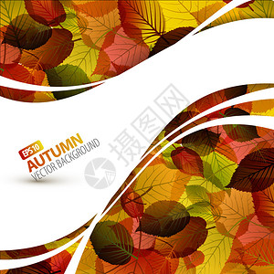 彩色矢量秋天背景与您的文本的地方图片