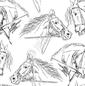 西科尼亚西科尼亚无缝背景黑马的圆背影被白纸插画