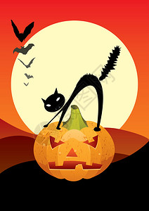 万圣节夜场景惊吓的黑猫在满月和飞蝙图片