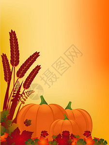 与南瓜叶子和玉米的秋天背景背景图片