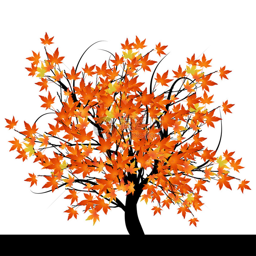 带秋叶插图的抽象树图片
