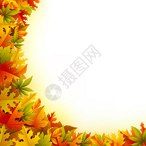 抽象秋季背景的色彩多图片