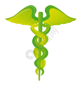 博洛特纳亚白色背景上隔开的绿色医疗符插画
