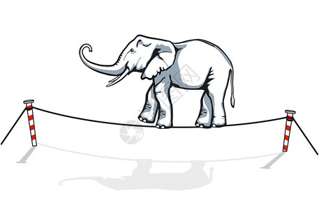 大象平衡图片