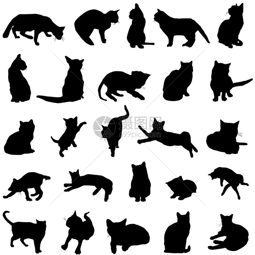 猫集矢量图片