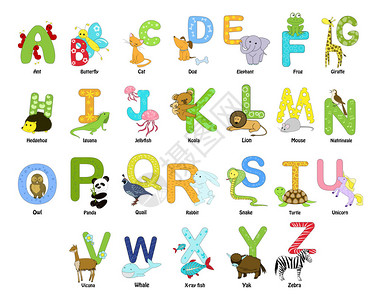 从A到Z的动物字母表图片