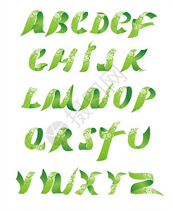 矢量绿色花卉字母表背景图片