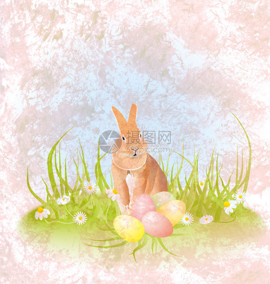 棕兔或子坐在草地上长着东边图片
