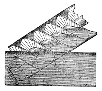 辛德瑞拉Archimedes螺丝或Archimeedian螺丝或螺丝泵插画