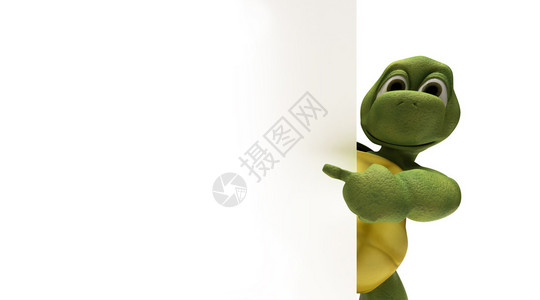 带有空白色标志的乌龟的3D渲染背景图片