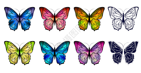 白色背景上不同多色的蝴蝶背景图片