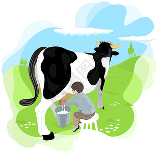 一个男孩在农场的里挤奶牛图片