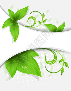 绿色叶子和线条的抽象背景图片