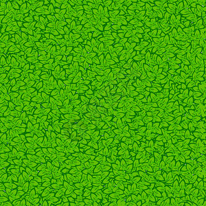 无缝的绿叶矢量图图片