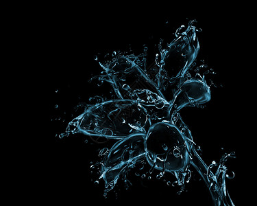 黑色的花开液艺术品由水滴制图片