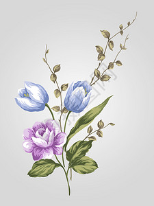 手绘老式玫瑰与简单的背景图片