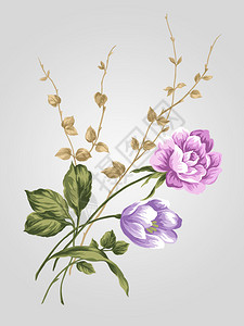 手绘老式玫瑰与简单的背景图片