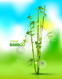春天自然竹矢量背景图片