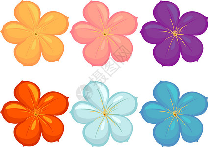 不同颜色的花朵插图背景图片