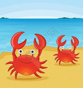 白色背景上两只螃蟹的插图图片