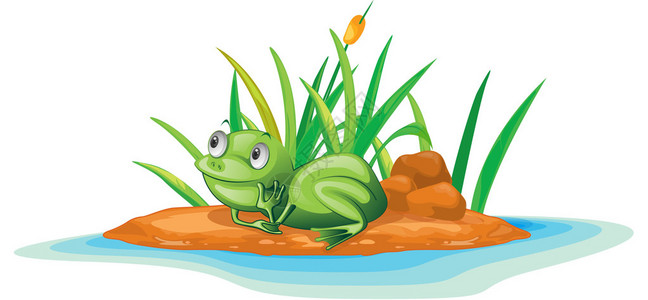岛上的青蛙插图图片