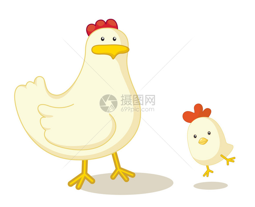 白色背景的母鸡illustraiton图片