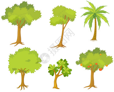各种树木和植物的插图背景图片