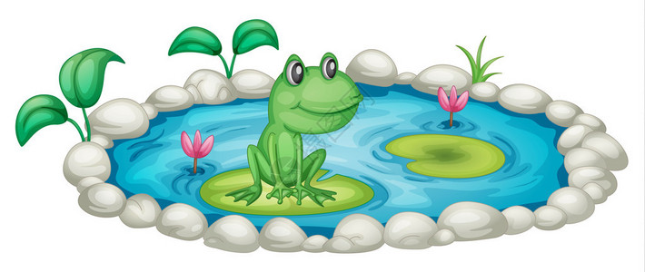 一个有青蛙的小池塘的插图图片