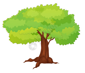 单棵孤立树的插图图片