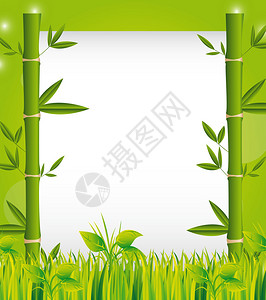 竹子在草上有复制空间背图片