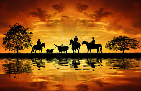 日落时骑着奶牛的马图片