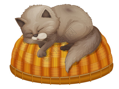 小猫睡在篮子上的插图图片