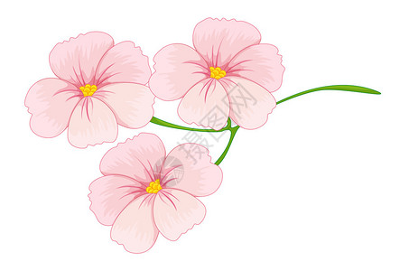 一朵粉红色的花的插图图片