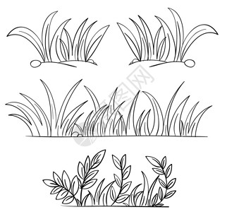 草和植物轮廓的插图背景图片