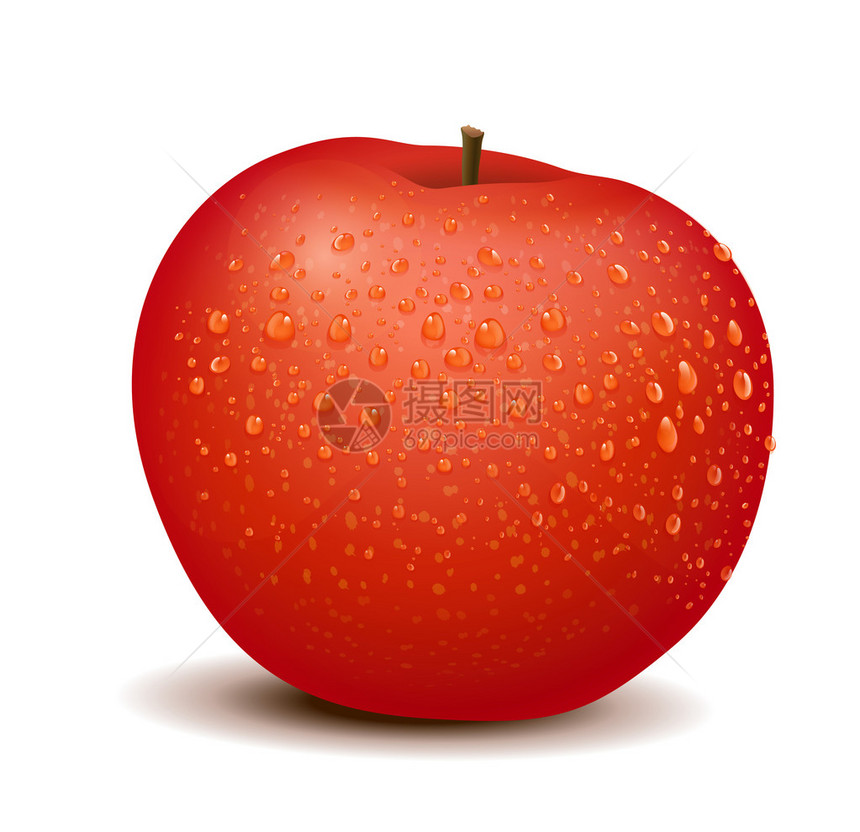 一个详细的苹果的插图图片