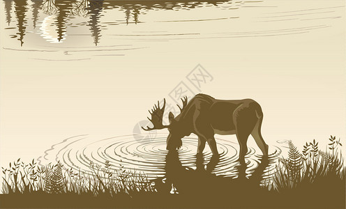 埃尔克哈特矢量插图早上风景埃尔克喝水插画