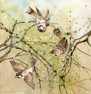 叫上小伙伴绘制三个麻雀的图画坐在树枝上插画